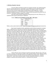 Infliacija Lietuvoje: 1994-2008 metai 7 puslapis