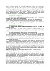 Kamiu „Maras“ analizė, klausimai ir atsakymai 2 puslapis