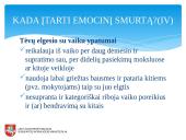 Smurto diagnostika 12 puslapis