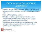 Smurto diagnostika 16 puslapis
