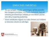 Smurto diagnostika 7 puslapis