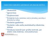 Smurto diagnostika 8 puslapis
