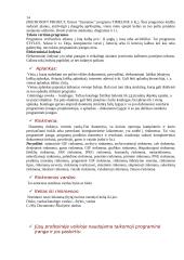 Informacinės sistemos 14 puslapis