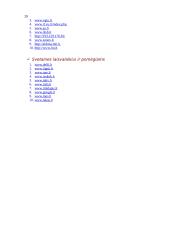 Informacinės sistemos 20 puslapis