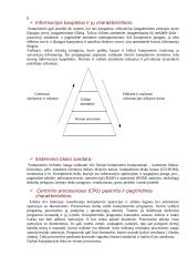 Informacinės sistemos 8 puslapis