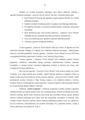 Internetinių sprendimų taikymo galimybės turizmo srityje 13 puslapis