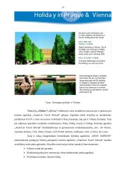 Internetinių sprendimų taikymo galimybės turizmo srityje 14 puslapis