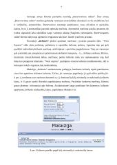 Internetinių sprendimų taikymo galimybės turizmo srityje 6 puslapis