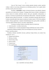 Internetinių sprendimų taikymo galimybės turizmo srityje 8 puslapis