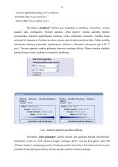 Internetinių sprendimų taikymo galimybės turizmo srityje 10 puslapis