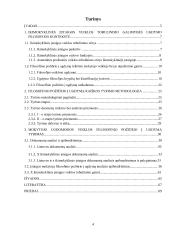 Filosofinio požiūrio į ugdymą reikšmė tobulinant ikimokyklinės įstaigos veiklą 3 puslapis