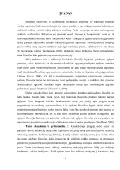 Filosofinio požiūrio į ugdymą reikšmė tobulinant ikimokyklinės įstaigos veiklą 4 puslapis