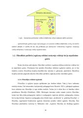 Filosofinio požiūrio į ugdymą reikšmė tobulinant ikimokyklinės įstaigos veiklą 9 puslapis