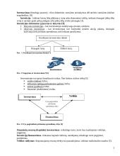 Investavimas, investicijos 2 puslapis