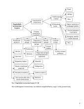 Investavimas, investicijos 4 puslapis