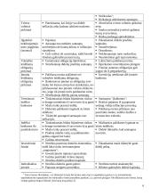 Investavimas, investicijos 6 puslapis