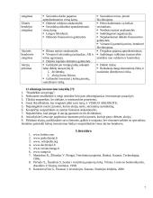 Investavimas, investicijos 7 puslapis