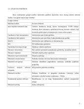 Investicijų analizės sistemų programinės įrangos analizė 10 puslapis