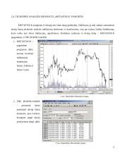 Investicijų analizės sistemų programinės įrangos analizė 11 puslapis