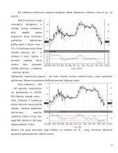 Investicijų analizės sistemų programinės įrangos analizė 13 puslapis