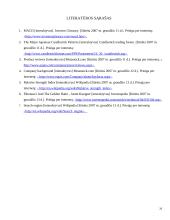 Investicijų analizės sistemų programinės įrangos analizė 19 puslapis