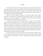 Investicijų analizės sistemų programinės įrangos analizė 2 puslapis