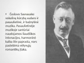 Česlovas Sasnauskas  11 puslapis