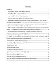 Investicinis projektas: batų siuvimas 2 puslapis