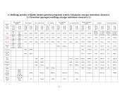 Investicinis projektas: batų siuvimas 11 puslapis