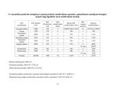 Investicinis projektas: batų siuvimas 14 puslapis