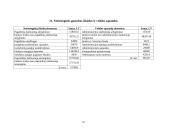 Investicinis projektas: batų siuvimas 16 puslapis