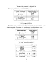 Investicinis projektas: batų siuvimas 17 puslapis