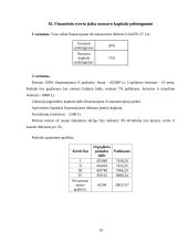 Investicinis projektas: batų siuvimas 19 puslapis