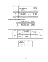 Investicinis projektas: batų siuvimas 20 puslapis