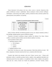 Investicinis projektas: batų siuvimas 3 puslapis