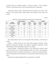 Investicinis projektas: batų siuvimas 4 puslapis