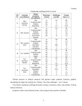 Investicinis projektas: batų siuvimas 5 puslapis