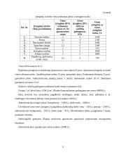 Investicinis projektas: batų siuvimas 6 puslapis