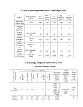 Investicinis projektas: batų siuvimas 7 puslapis