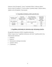 Investicinis projektas: batų siuvimas 8 puslapis