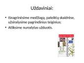 Kaip perduodama paveldima informacija  2 puslapis