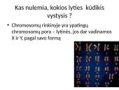 Kaip perduodama paveldima informacija  15 puslapis