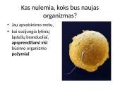 Kaip perduodama paveldima informacija  3 puslapis
