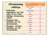 Kaip perduodama paveldima informacija  7 puslapis