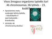 Kaip perduodama paveldima informacija  9 puslapis