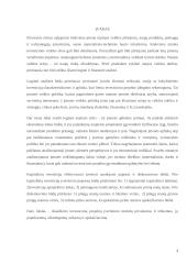 Investicinių projektų įvertinimo metodai: privalumai ir trūkumai 2 puslapis