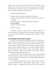 Įstaigų ūkis: UAB "Hronas" 7 puslapis