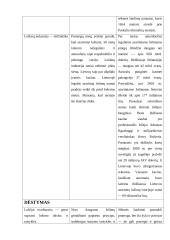 Iškalbos paruošiamasis planas 4 puslapis