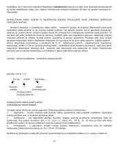 Baudžiamosios teisės (BT) konspektas 10 puslapis