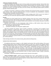 Baudžiamosios teisės (BT) konspektas 17 puslapis